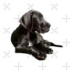 flat750x075f pad750x750f8f8f8 4 - Great Dane Gifts