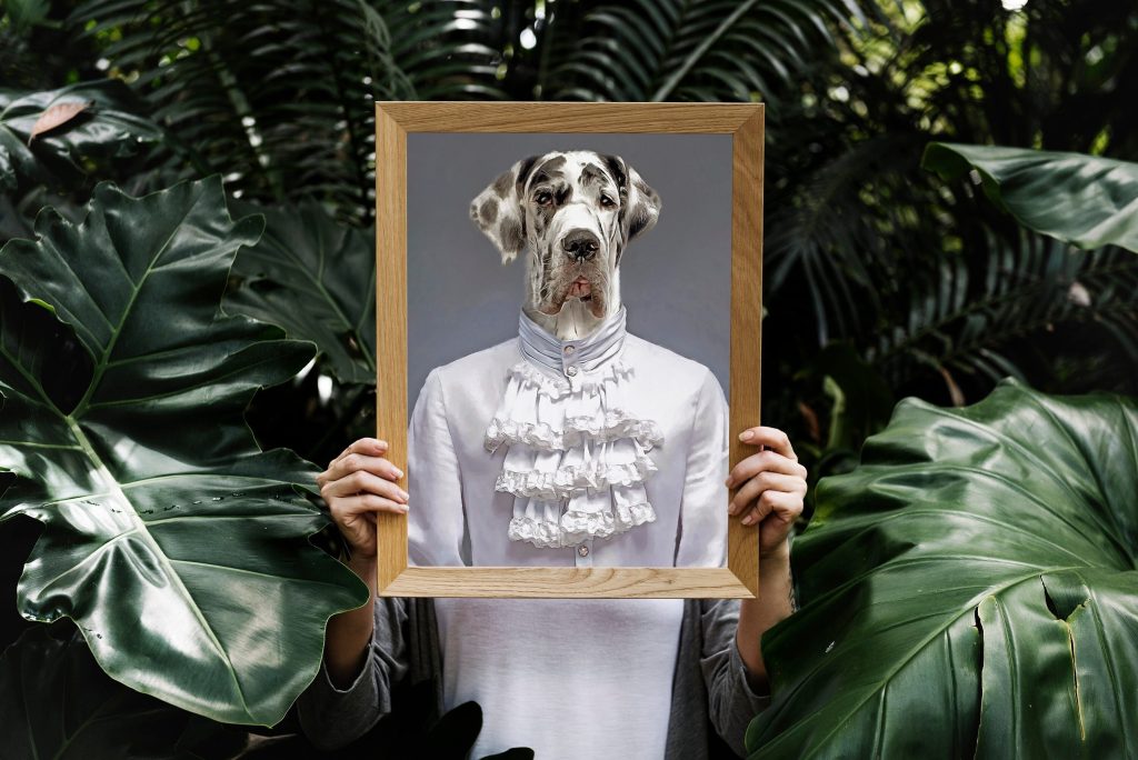 il fullxfull.4225307401 fala scaled - Great Dane Gifts