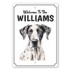 il fullxfull.5362926225 85xz - Great Dane Gifts