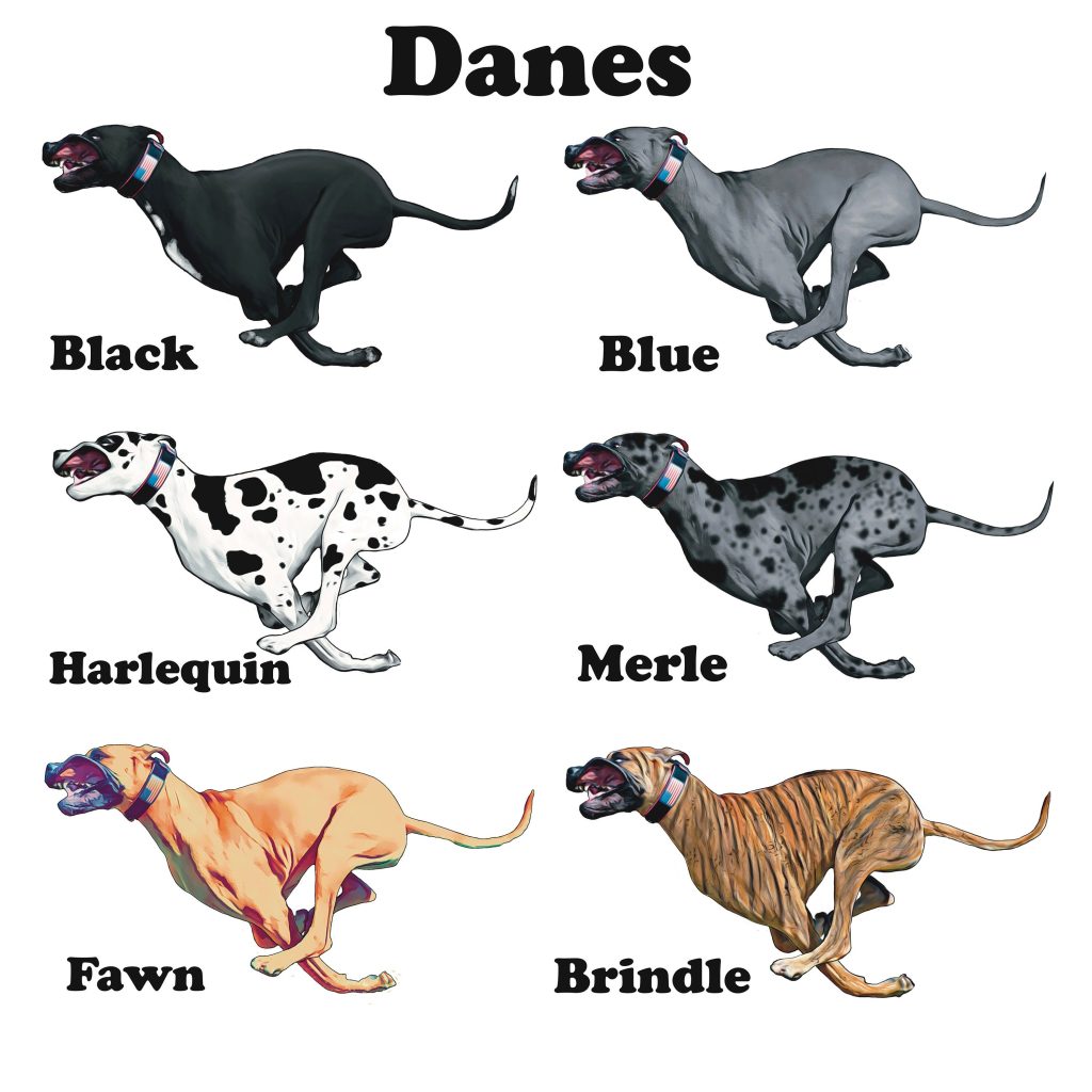 il fullxfull.5685673183 5xd7 scaled - Great Dane Gifts