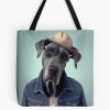 tb1040x1040large c1198800800 bgf8f8f8.u8 - Great Dane Gifts