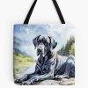 tb1040x1040large c1198800800 bgf8f8f8.u8 32 - Great Dane Gifts