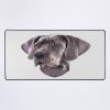 urdesk mat flatlaysquare1000x1000 15 - Great Dane Gifts