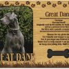 il 1000xN.2964725624 n2x1 - Great Dane Gifts